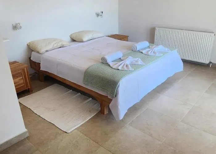 The Siesta House *